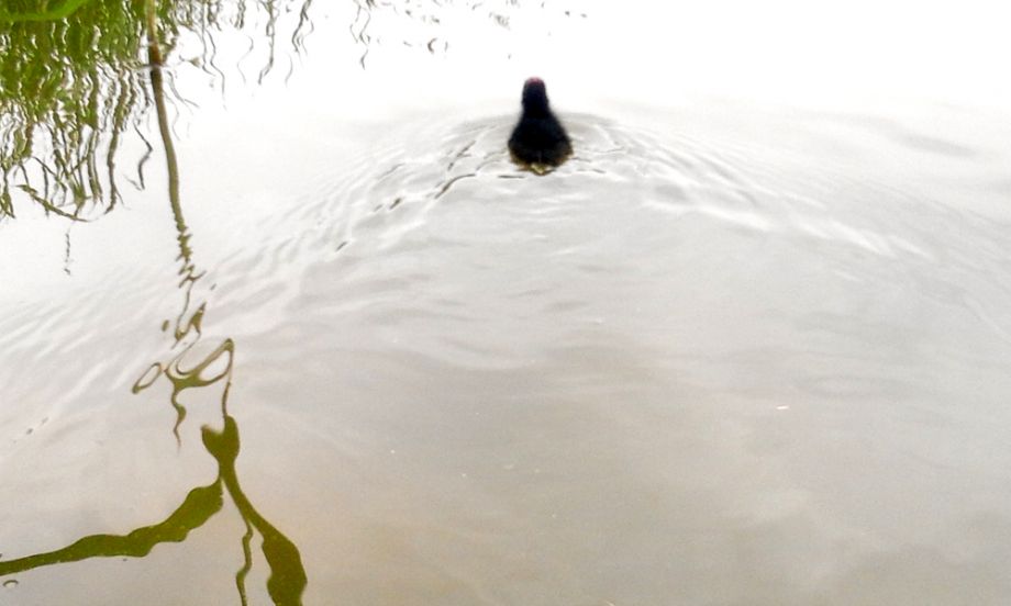 2014-08-02 16.37.01.jpg