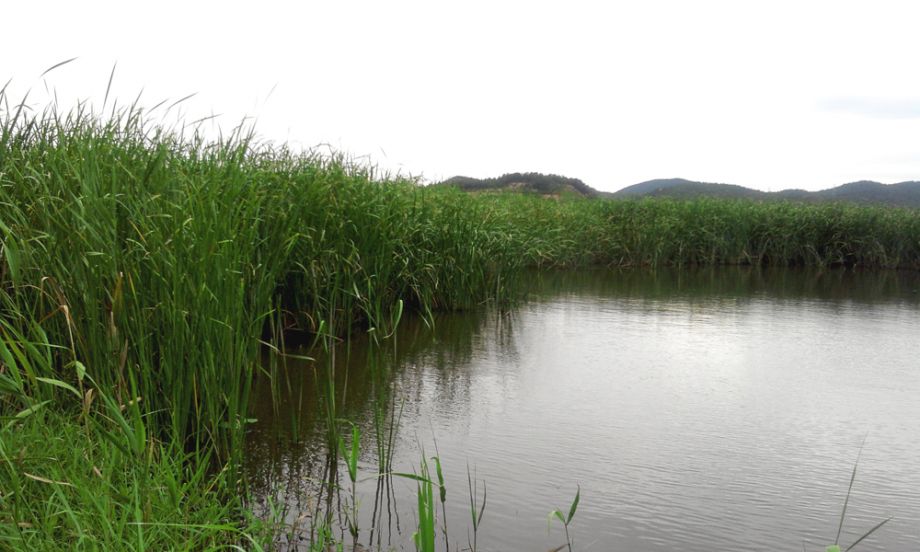 2014-08-02 16.37.49.jpg