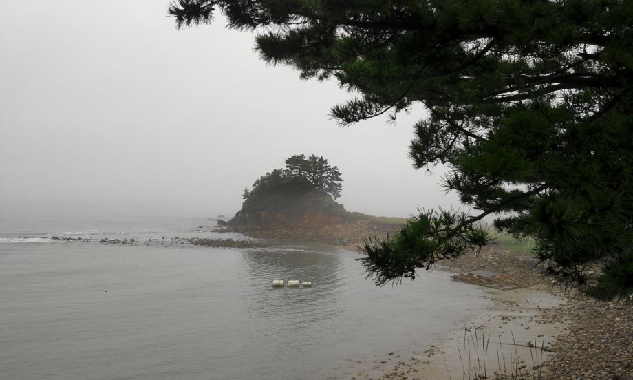 2014-08-04 07.06.42.jpg