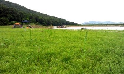 2014-07-05_17.06.21.jpg