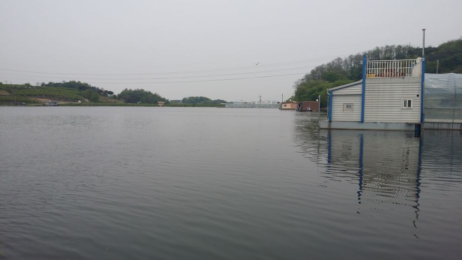 20140426_134148.jpg