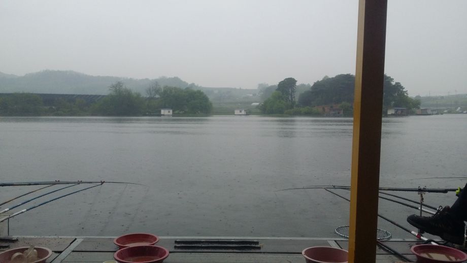 20140427_072629.jpg