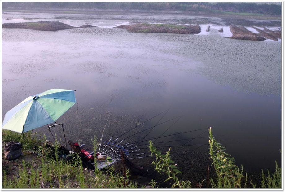 IMG_8982.JPG