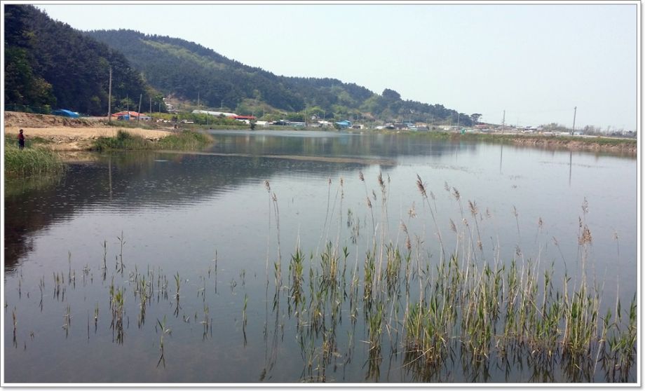 20140510_115235.jpg