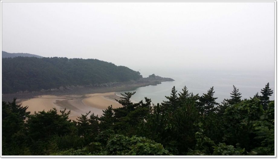 20140814_121014.jpg