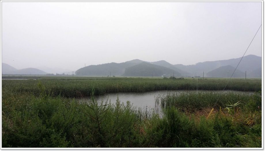 20140814_130136.jpg