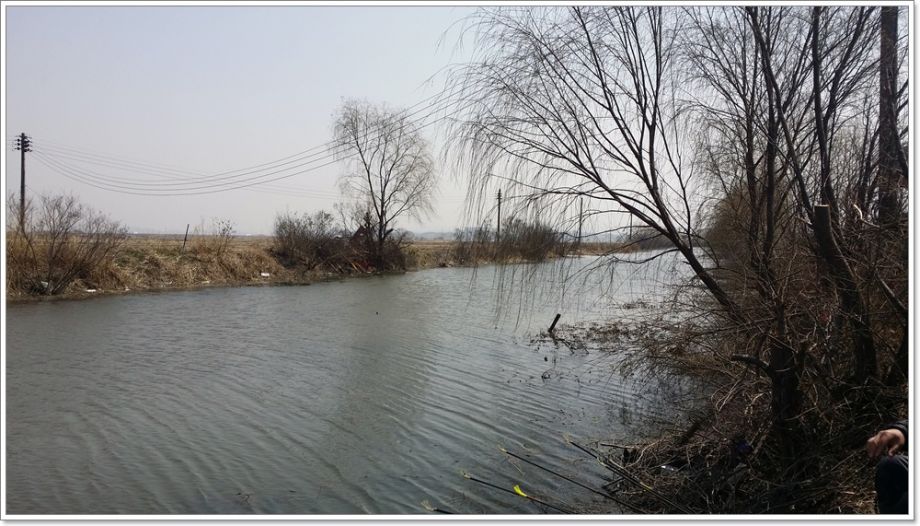 20150322_124419.jpg