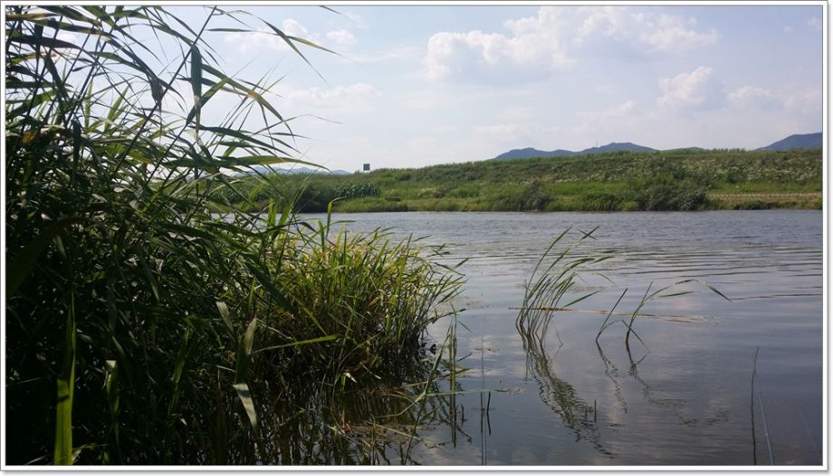 20150703_152447.jpg
