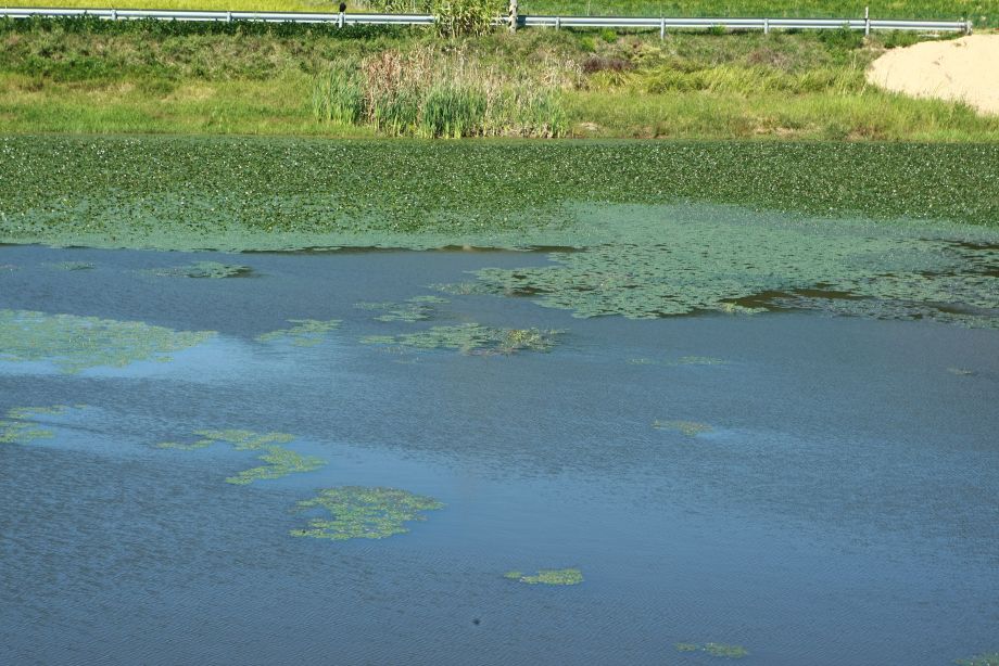 897P4262 - ���纻.JPG