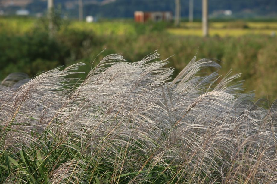 5T7C4266 - ���纻.JPG