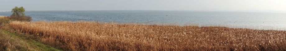 108.JPG