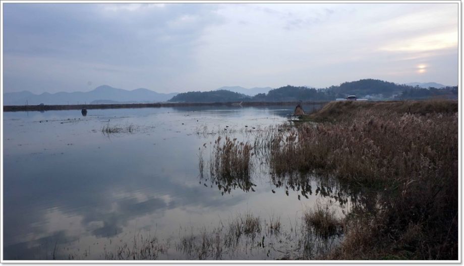 DSC09329(������ ����Ʈ).JPG