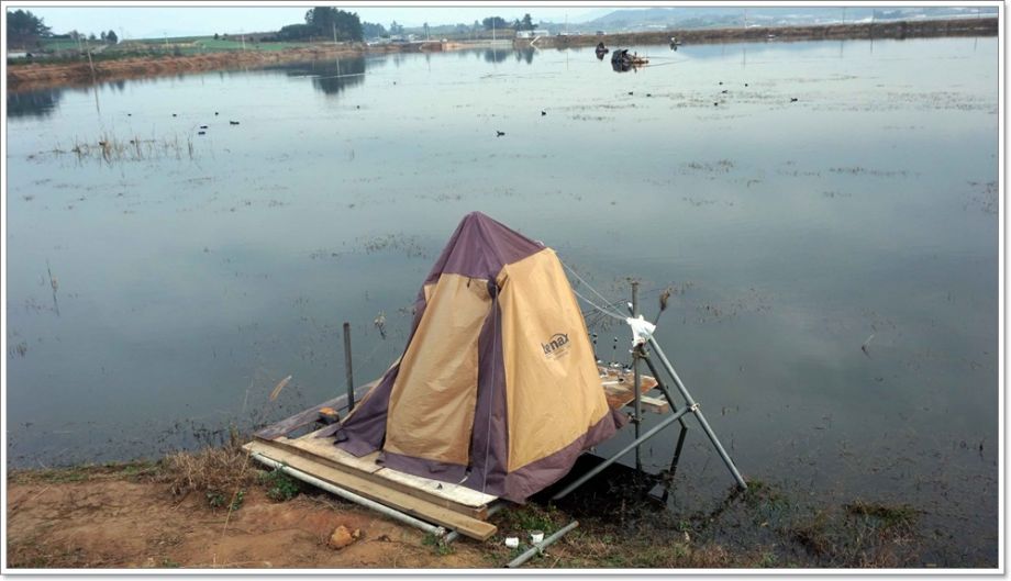 DSC09332(�������� �´�).JPG