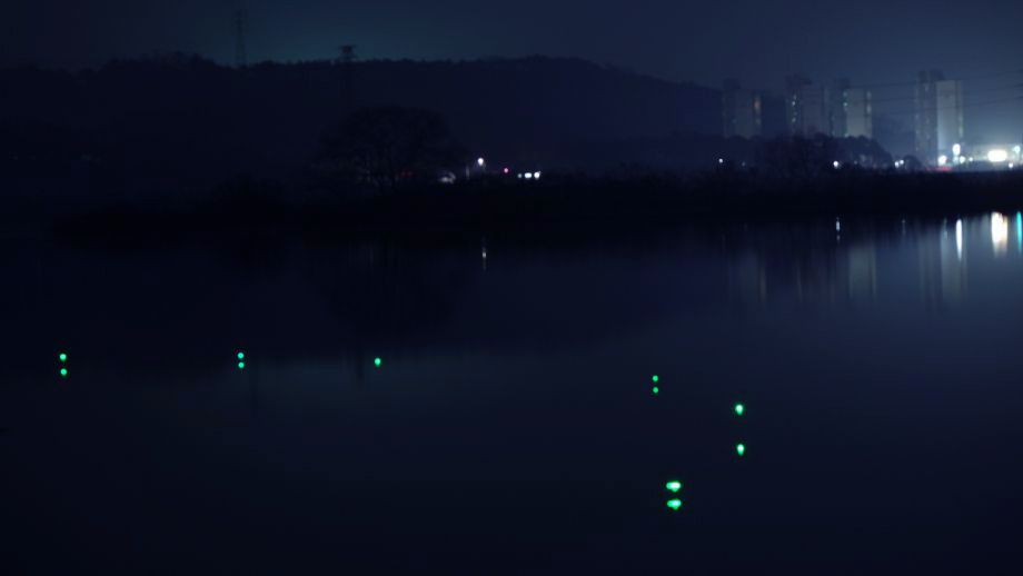 1451619869_8813-1.jpg
