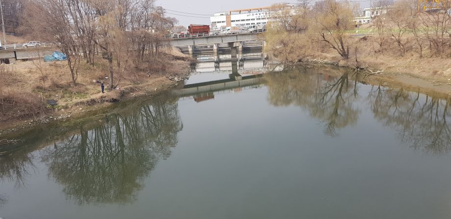 030.jpg