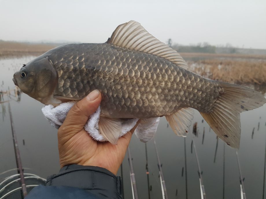 20190407_063201[1].jpg