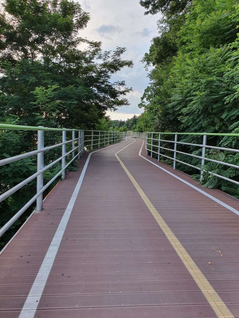 20190622_180635.jpg