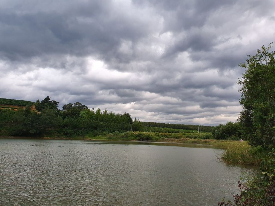 20190907_061656.jpg