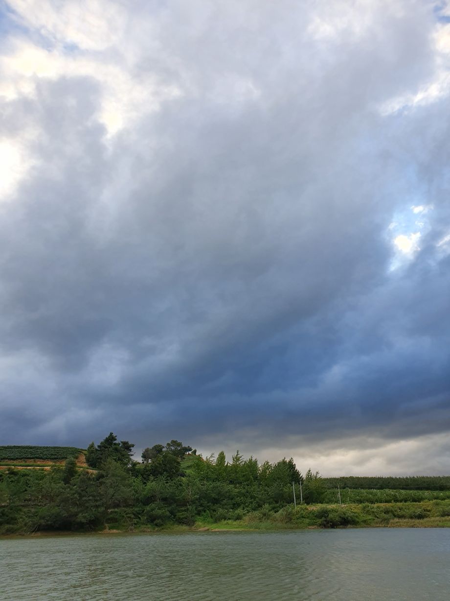20190907_180712.jpg