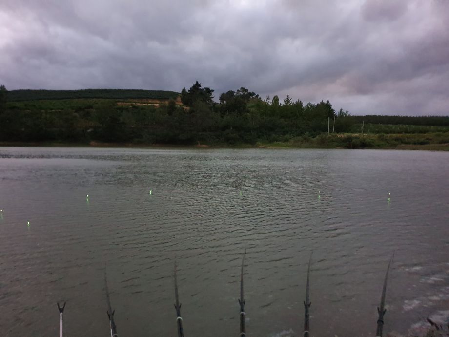 20190907_191119.jpg