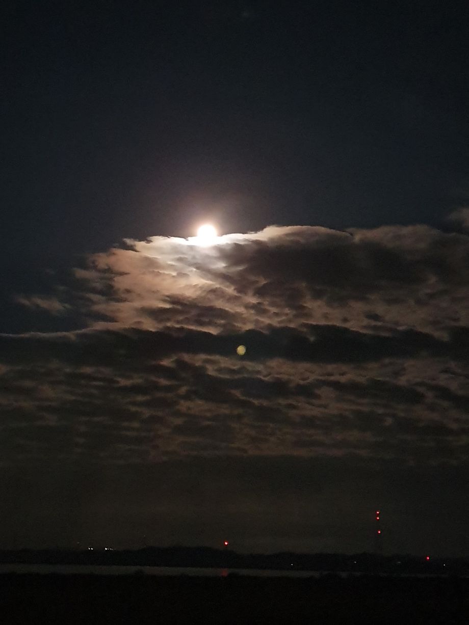 20190914_205617.jpg