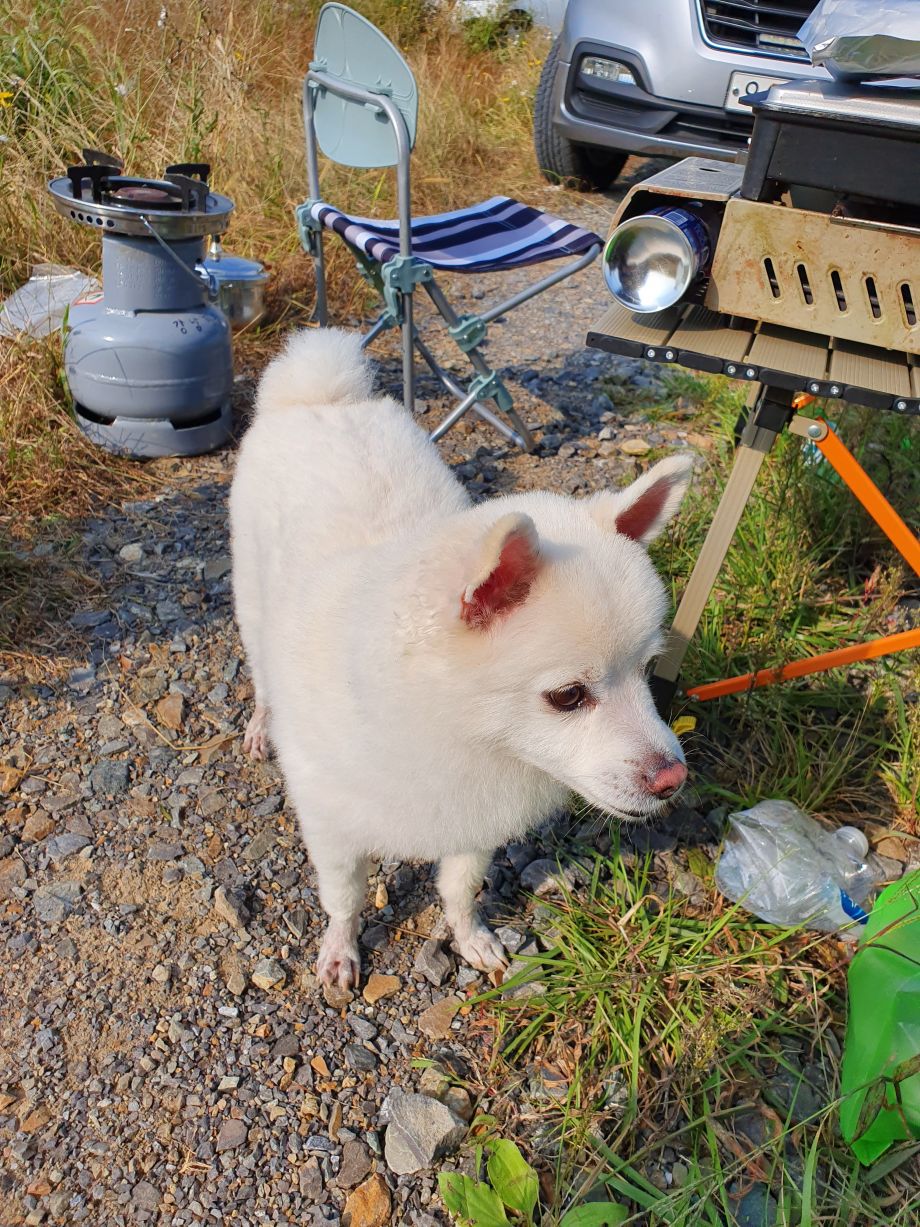 20190928_092527.jpg