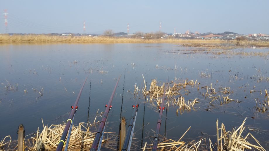 20160303_152625.jpg