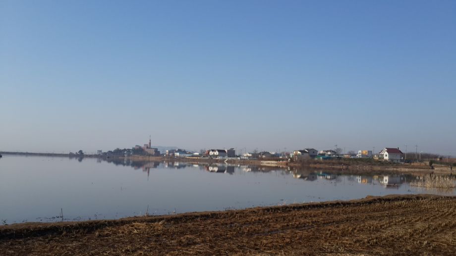 20160315_091229.jpg