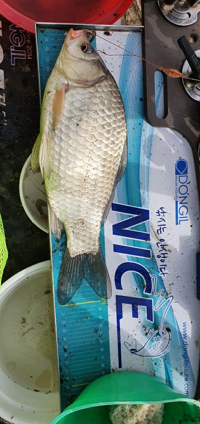 cropped4958909115494289122.jpg