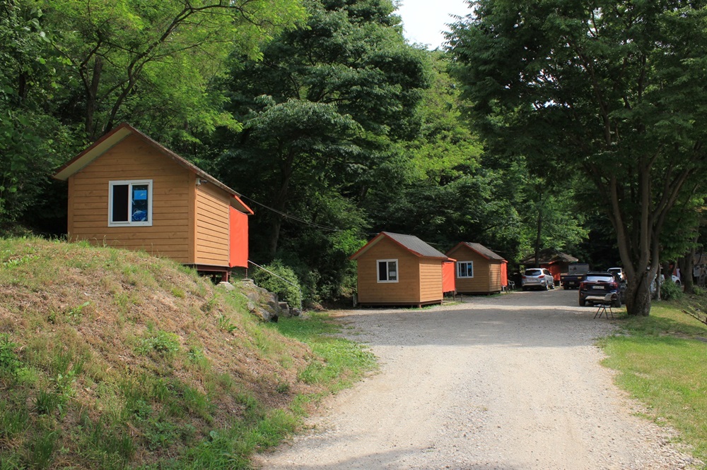 555_1720172116.jpg