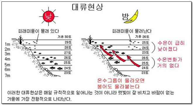 물 속의 대류 눈벽 대체 과정 위키백과, 우리